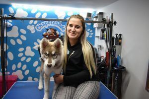 autolavado de mascotas y peluquería canina
