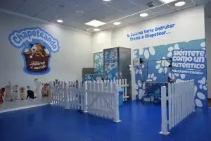 autolavado de mascotas cerca de mi