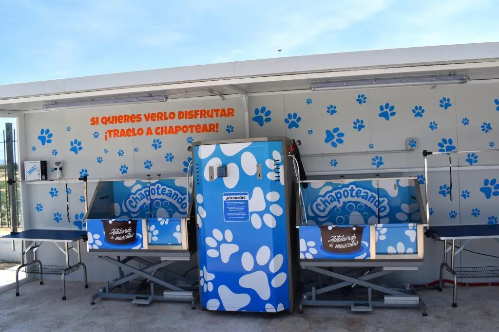 autolavado perros totana