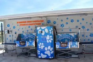 autolavado perros totana
