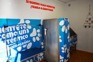 autolavado de mascotas cerca de mi