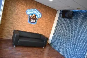 Autolavado perros godella