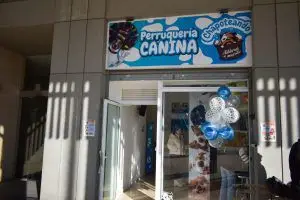 autolavado perros badalona